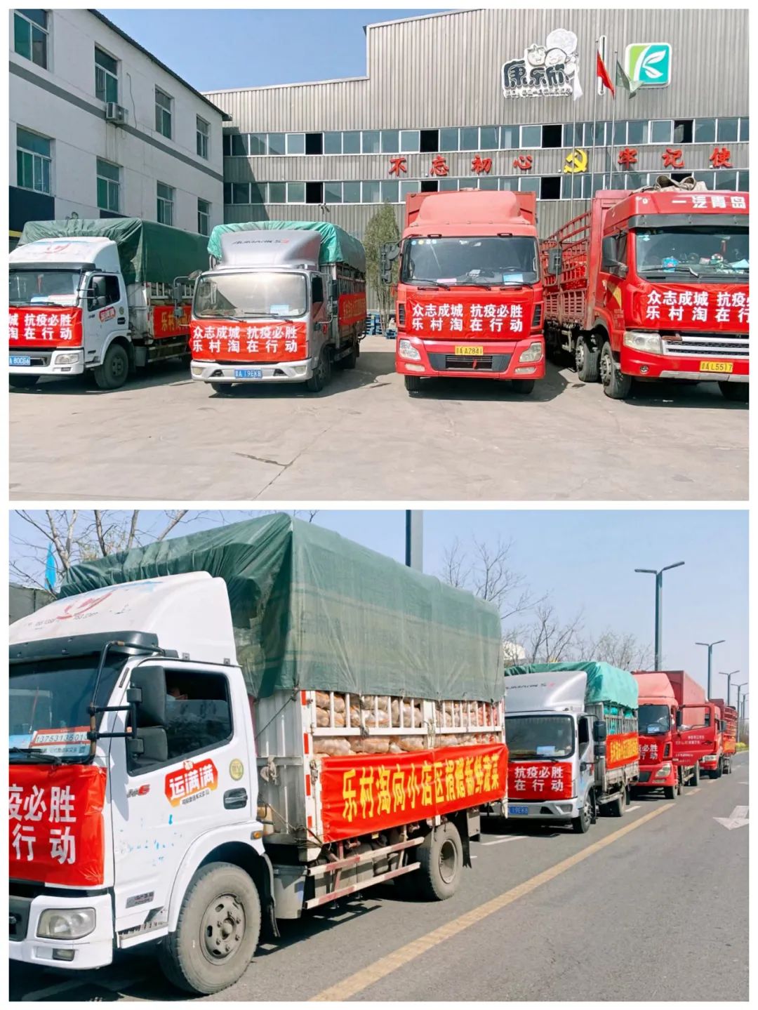 1649675012699006180.jpg W020220411647852657333.jpg